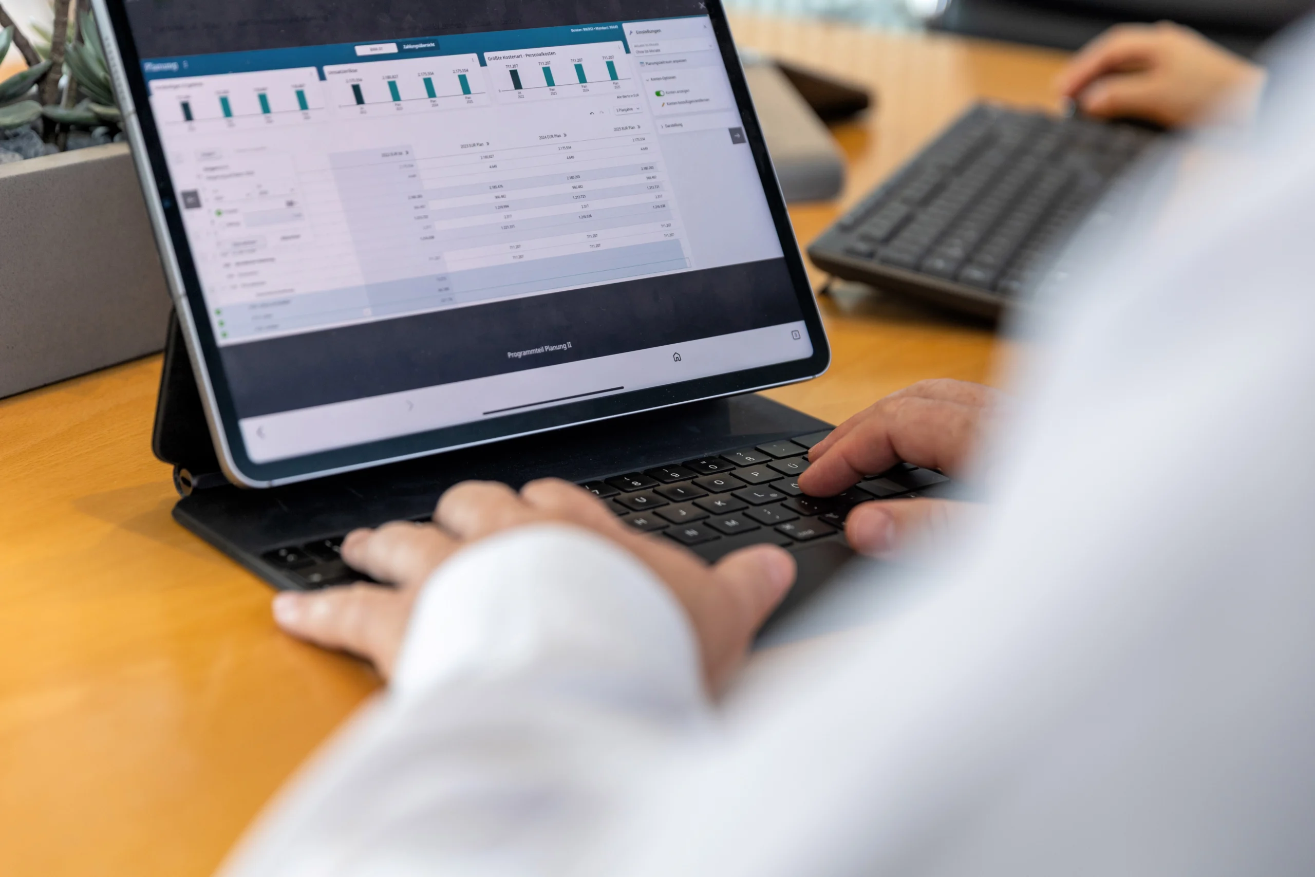 Arbeit mit digitaler Finanzsoftware